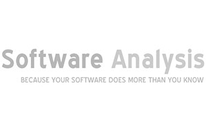 Software Analysis